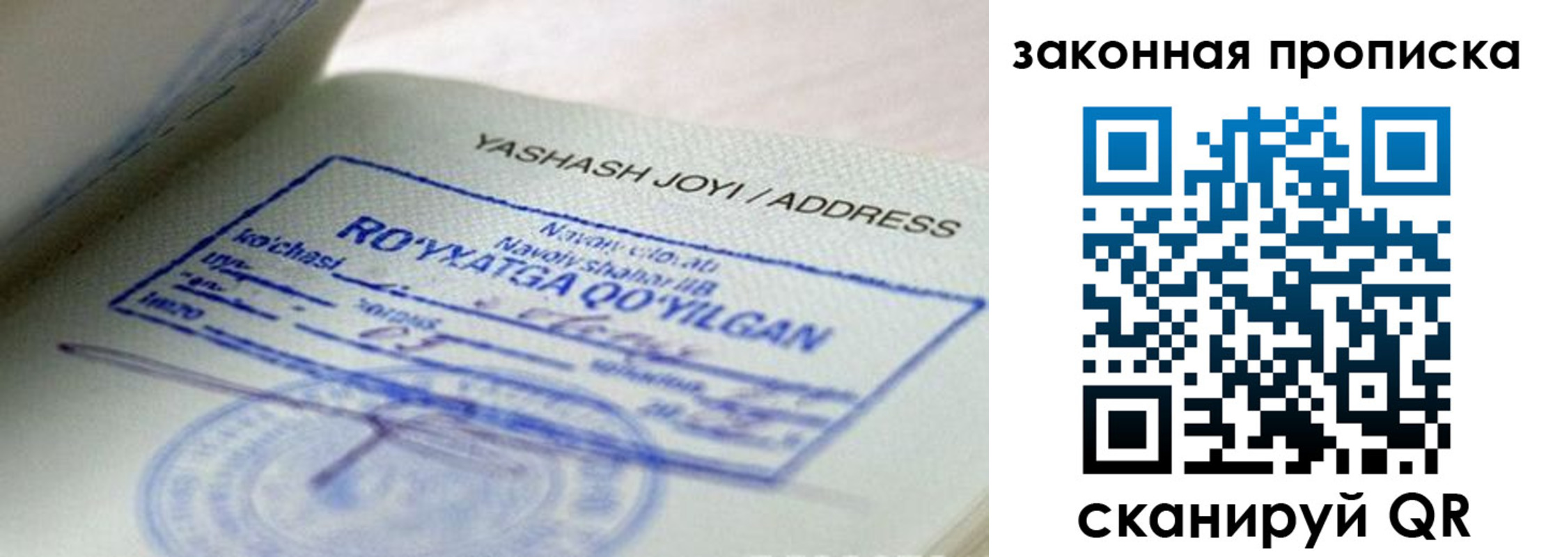 прописка гарантия в Новосибирской области